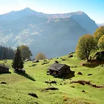 Lejlighed Lohnerhus-1 By Interhome *