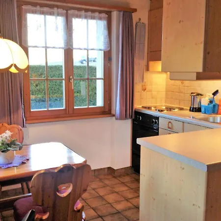 Lohnerhus-1 By Interhome Appartamento Grindelwald