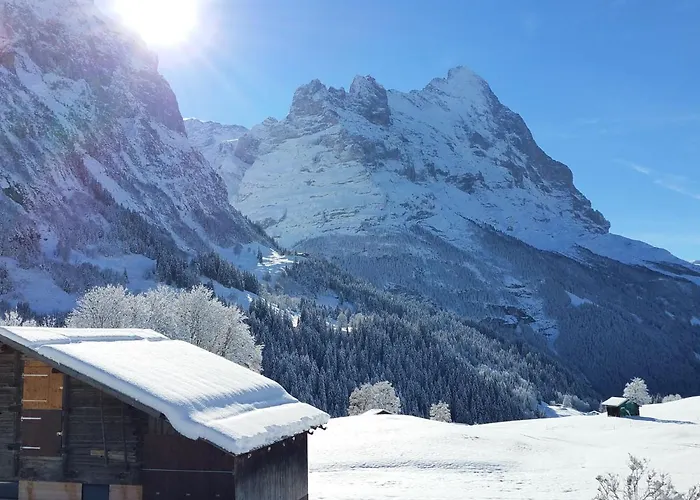 Lohnerhus-1 By Interhome * Grindelwald